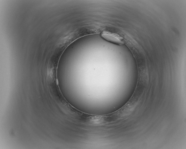 X0000116460088200912091257