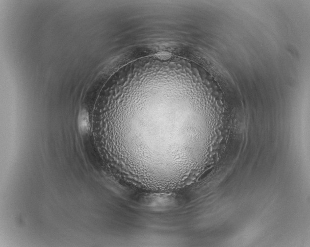 X0000116460089200912091257