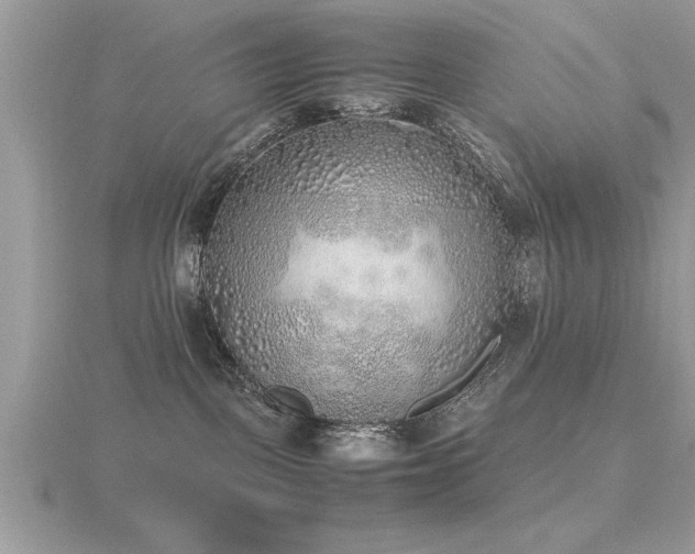 X0000116460093200912091257