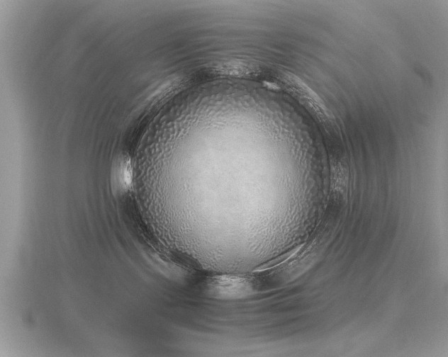 X0000116460095200912091257