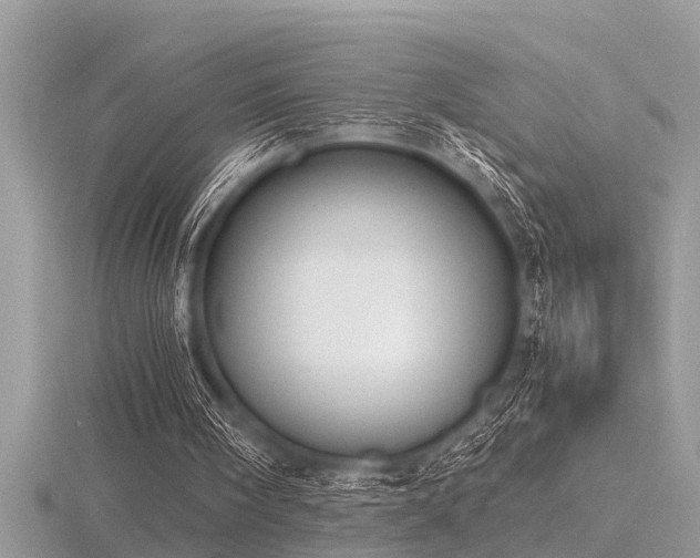 X0000116460098200912091257