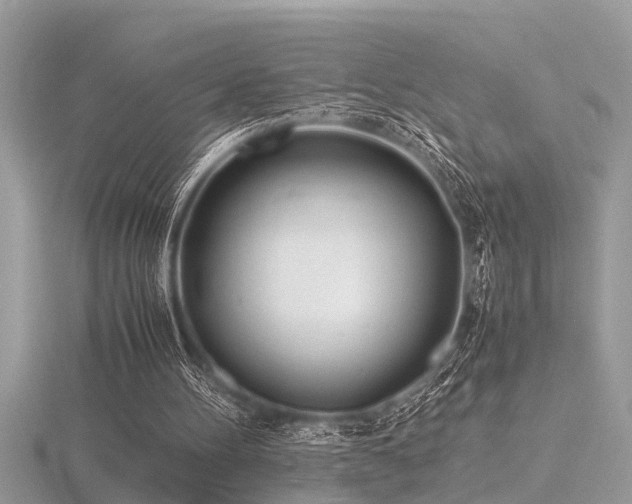 X0000116460100200912091257