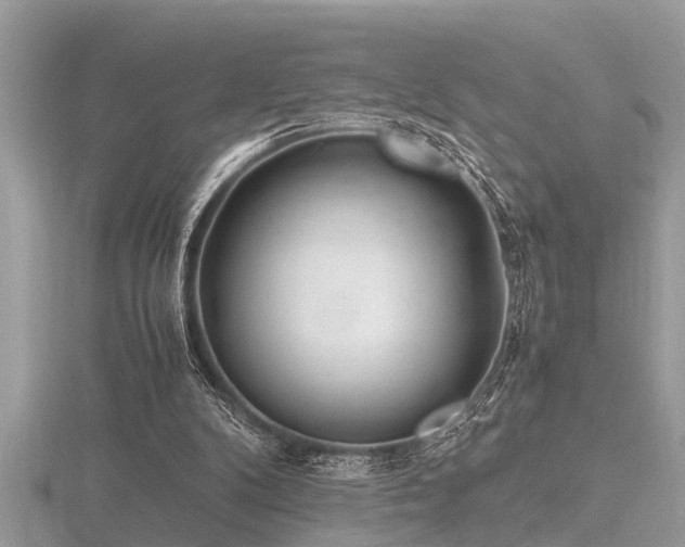 X0000116460104200912091257