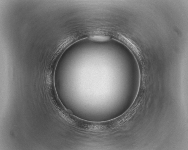 X0000116460105200912091257