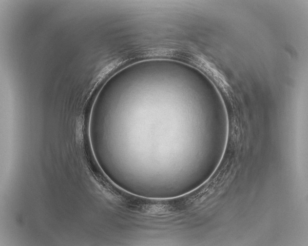 X0000116460107200912091257