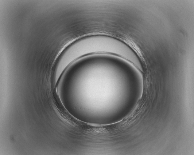 X0000116460108200912091257