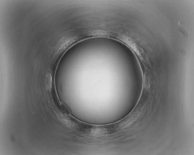 X0000116460109200912091257