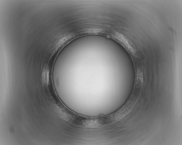 X0000116460110200912091257