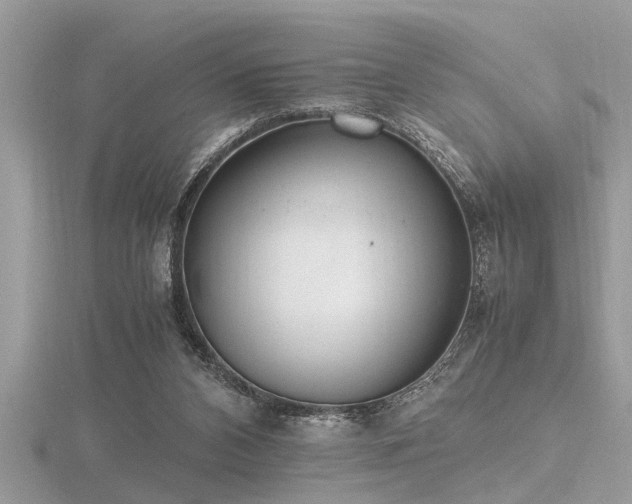 X0000116460112200912091257