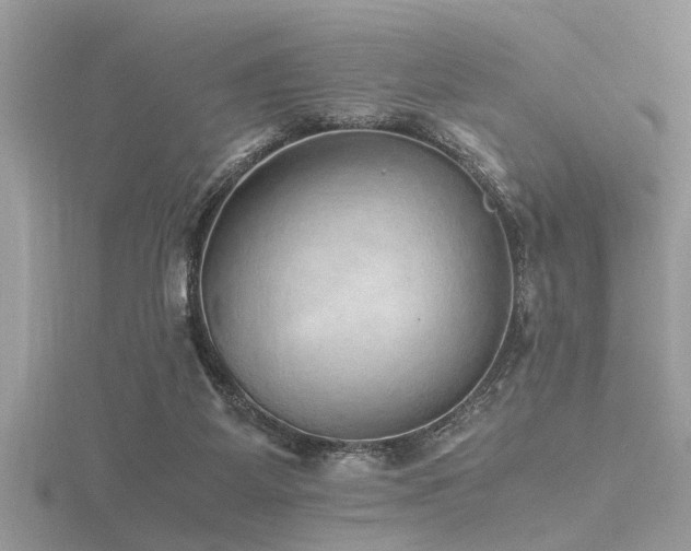 X0000116460115200912091257