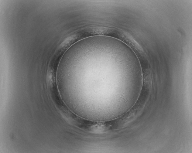 X0000116460119200912091256