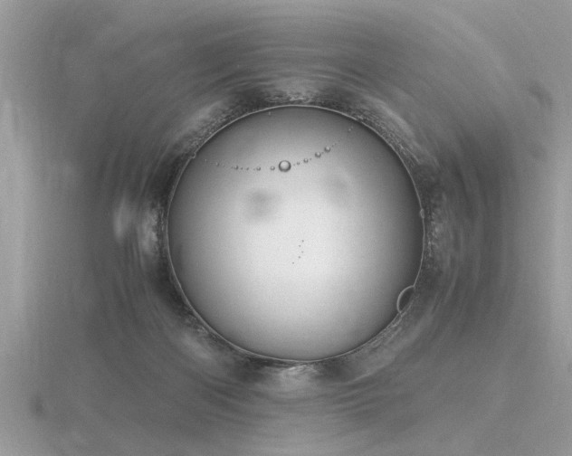 X0000116460122200912091256