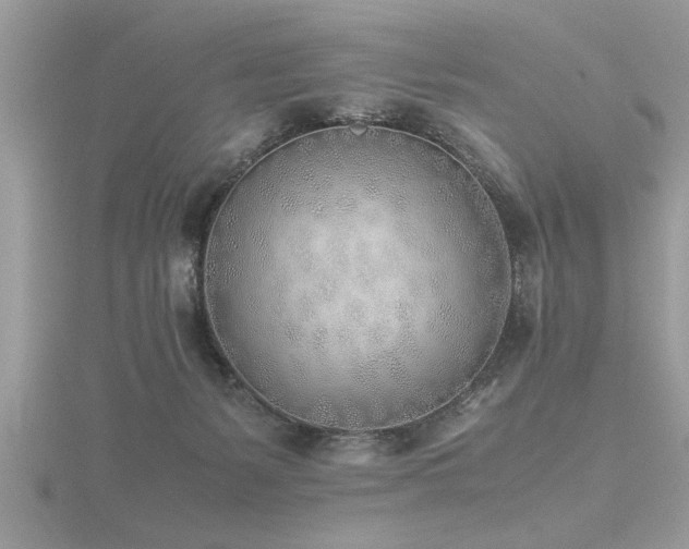 X0000116460127200912091256