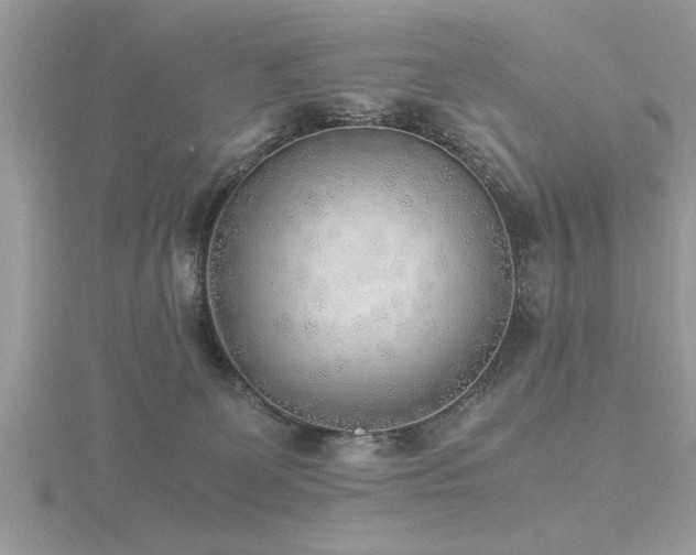X0000116460131200912091256