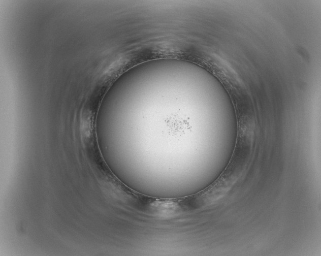 X0000116460133200912091256