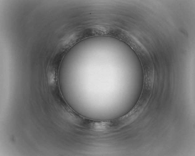 X0000116460134200912091256