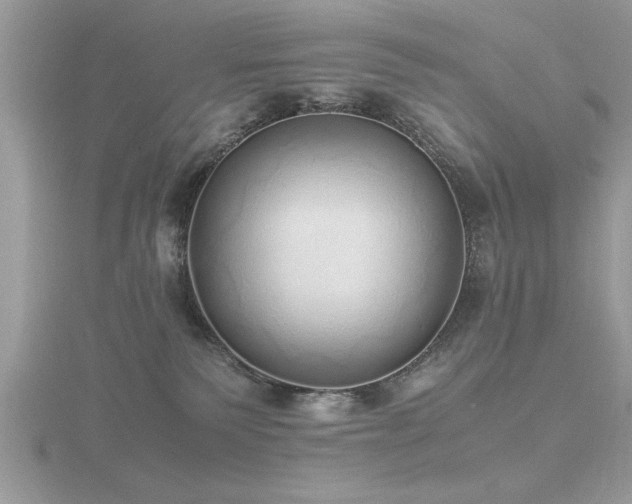 X0000116460135200912091256