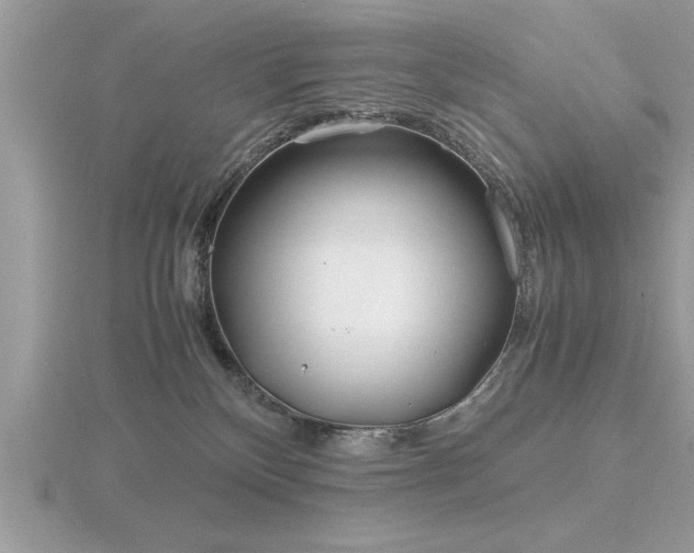 X0000116460136200912091256