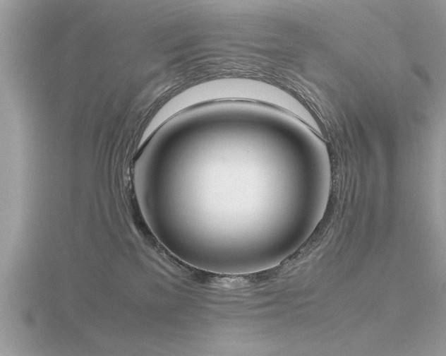 X0000116460137200912091256