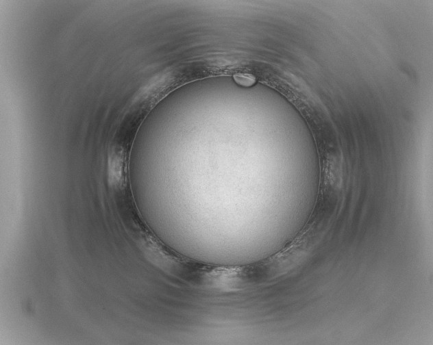 X0000116460138200912091256
