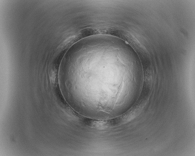 X0000116460139200912091256