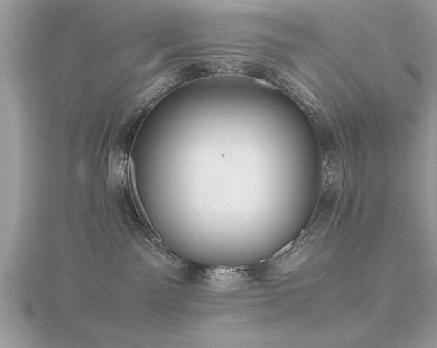 X0000116460141200912091256