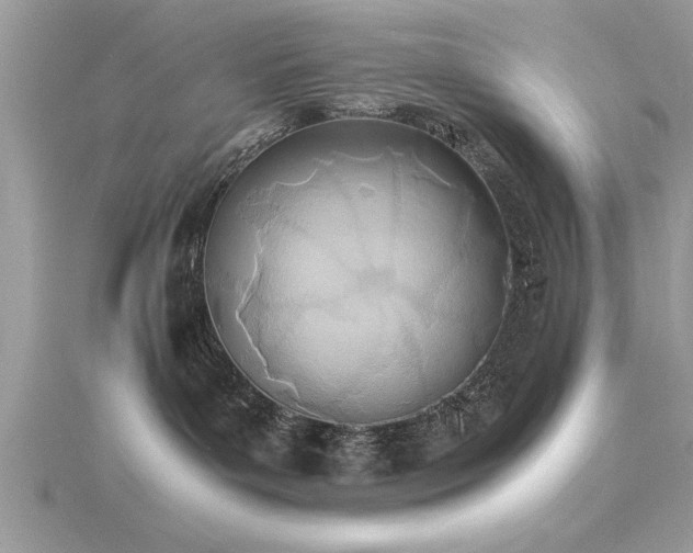 X0000116460143200912091256