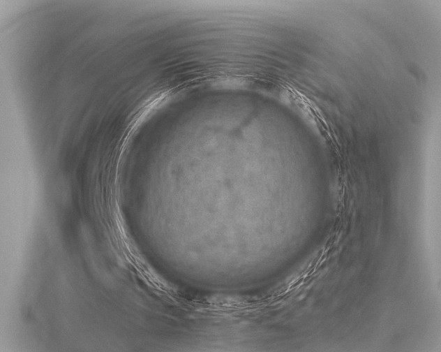 X0000116460145200912091256
