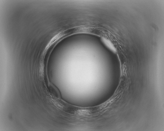 X0000116460150200912091256