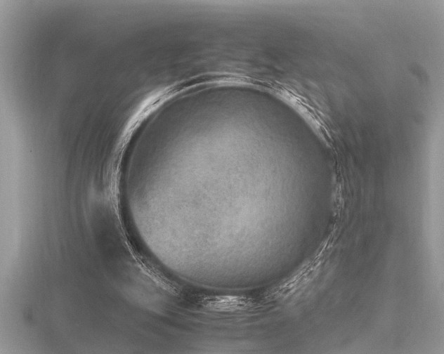X0000116460151200912091256