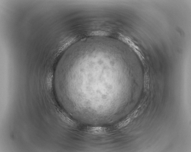 X0000116460153200912091256