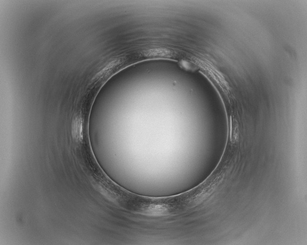X0000116460157200912091256