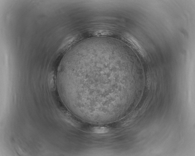 X0000116460169200912091256