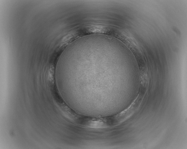 X0000116460175200912091256