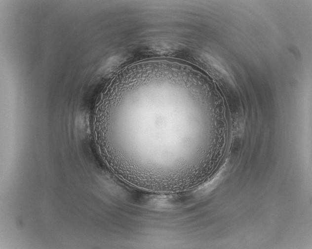 X0000116460182200912091256
