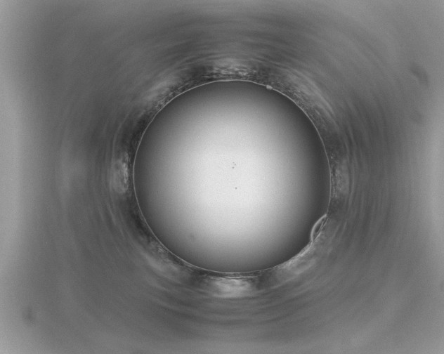 X0000116460183200912091256