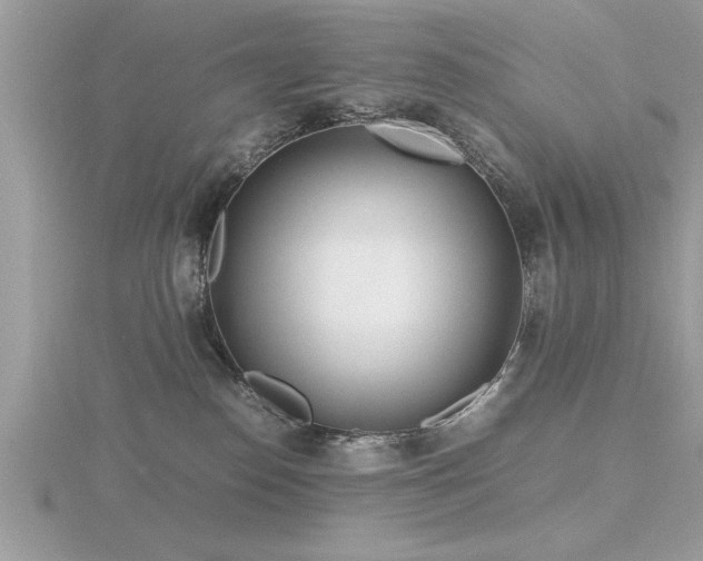 X0000116460186200912091256