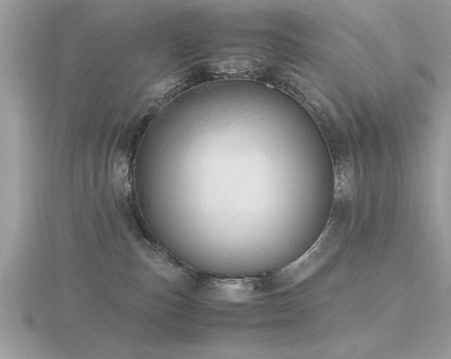 X0000116460187200912091256