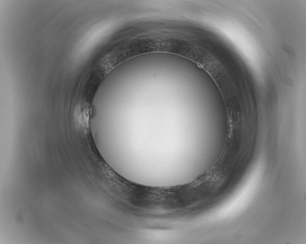 X0000116460190200912091256