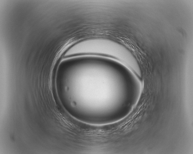 X0000116460195200912091256