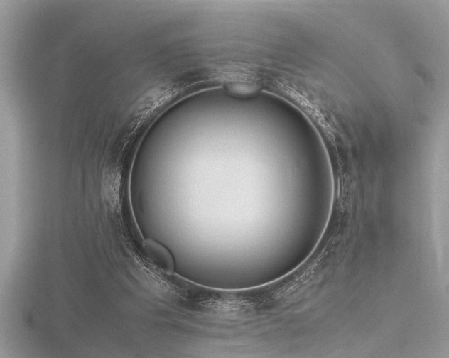 X0000116460201200912091255
