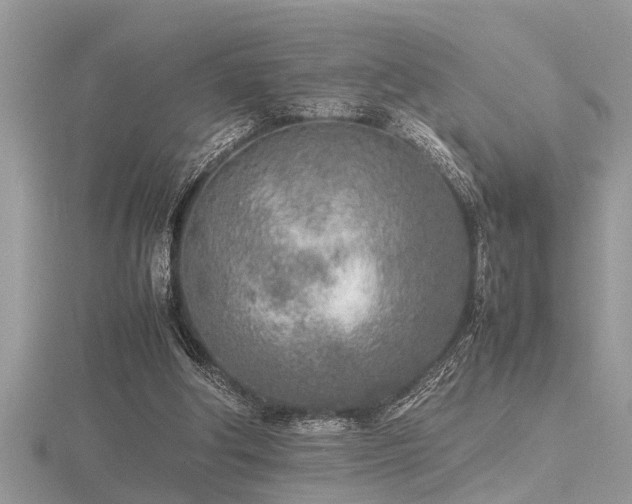 X0000116460202200912091255