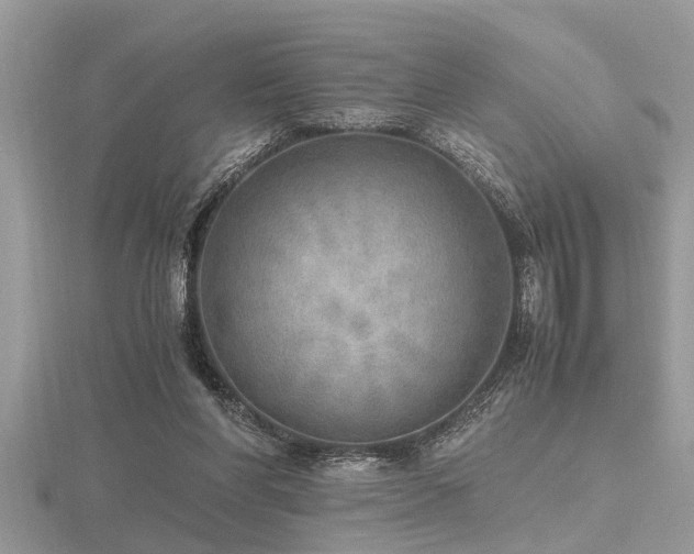 X0000116460206200912091255