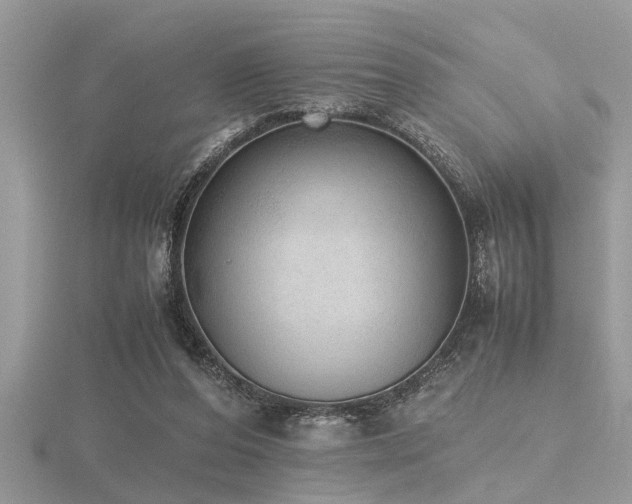 X0000116460208200912091255