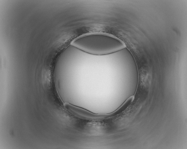 X0000116460211200912091255