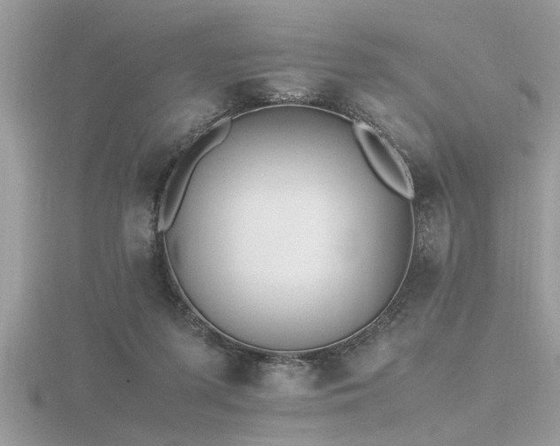 X0000116460215200912091255