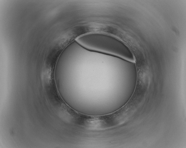 X0000116460219200912091255