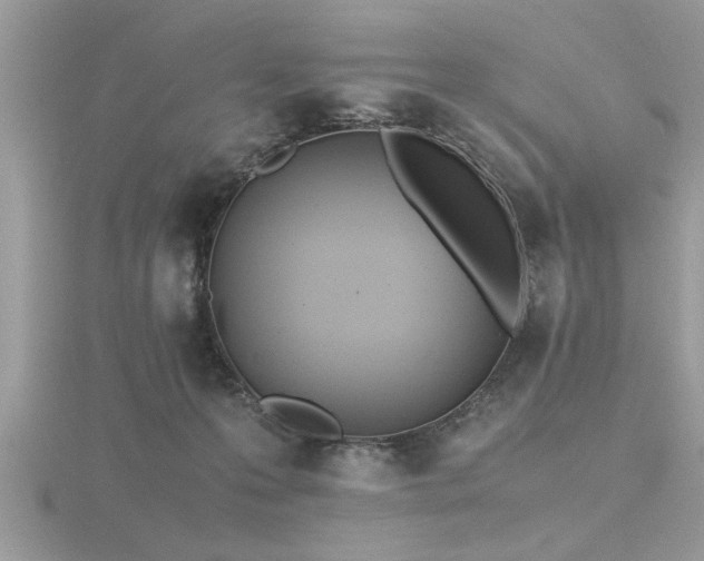 X0000116460223200912091255