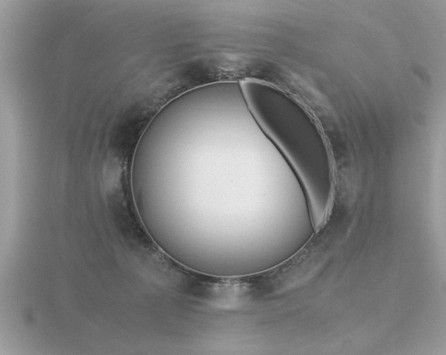 X0000116460225200912091255
