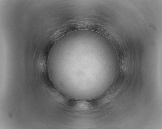 X0000116460226200912091255